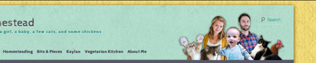web design example